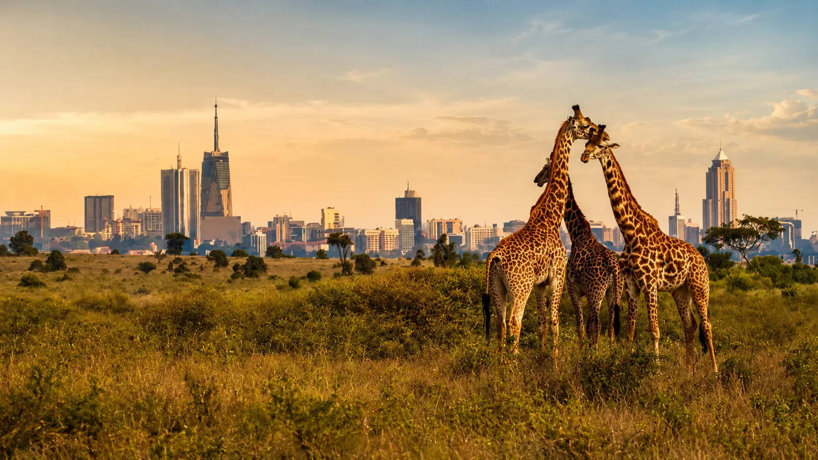 Nairobi city